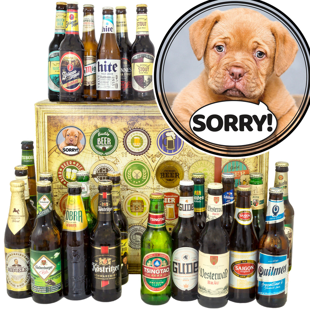 Sorry | 24x Bier aus Welt und Deutschland | Probierpaket